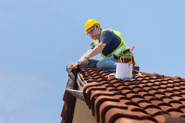 Best Roof Moss and Algae Removal  in Junction City, KY